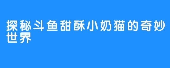 探秘斗鱼甜酥小奶猫的奇妙世界