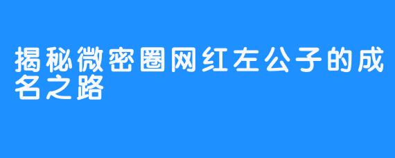 揭秘微密圈网红左公子的成名之路