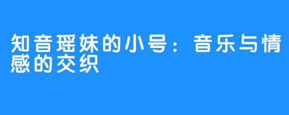 知音瑶妹的小号：音乐与情感的交织